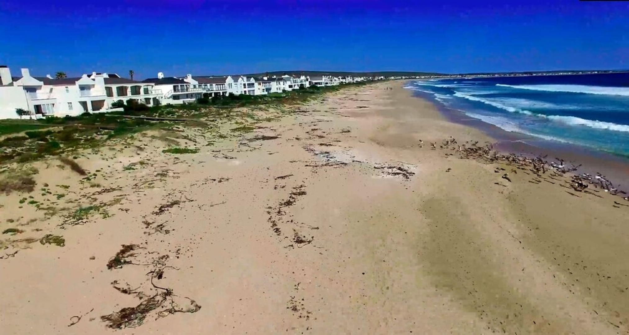 The Shelley Point Hotel & Spa