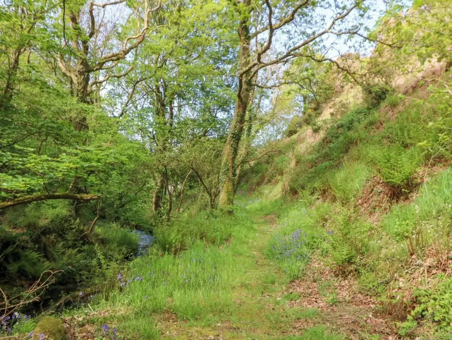 Glyn Yr Efail