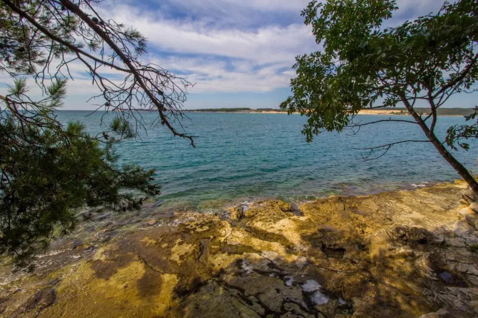 DT Lodge Tent Safari Joy, Lanterna