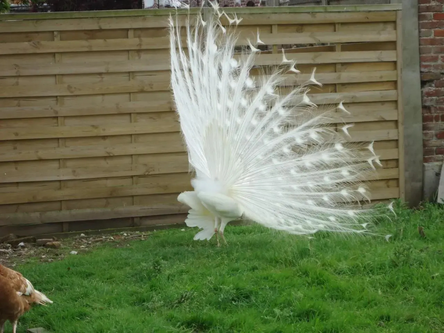 Maison de maître en baie de Somme
