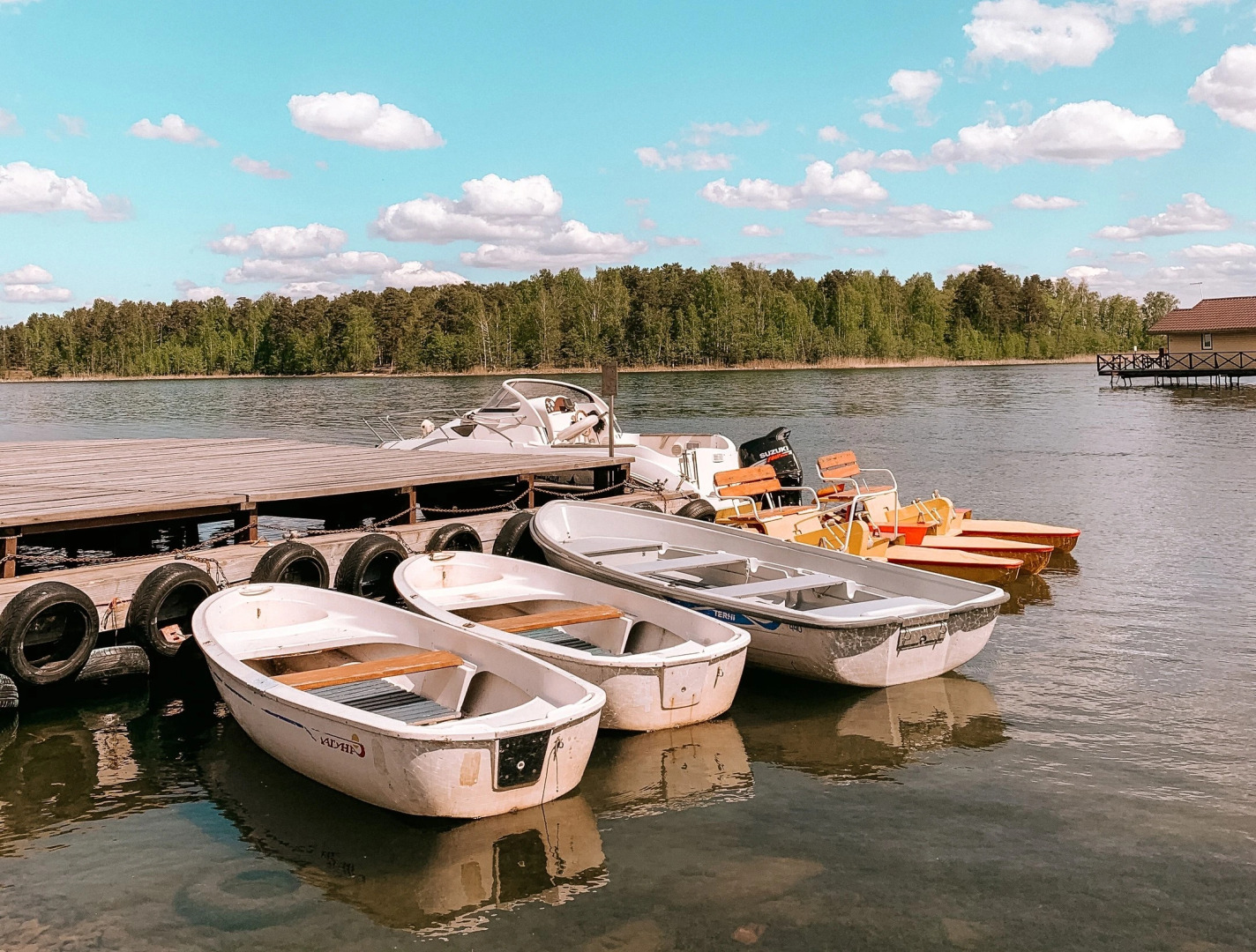 Лесное Поместье