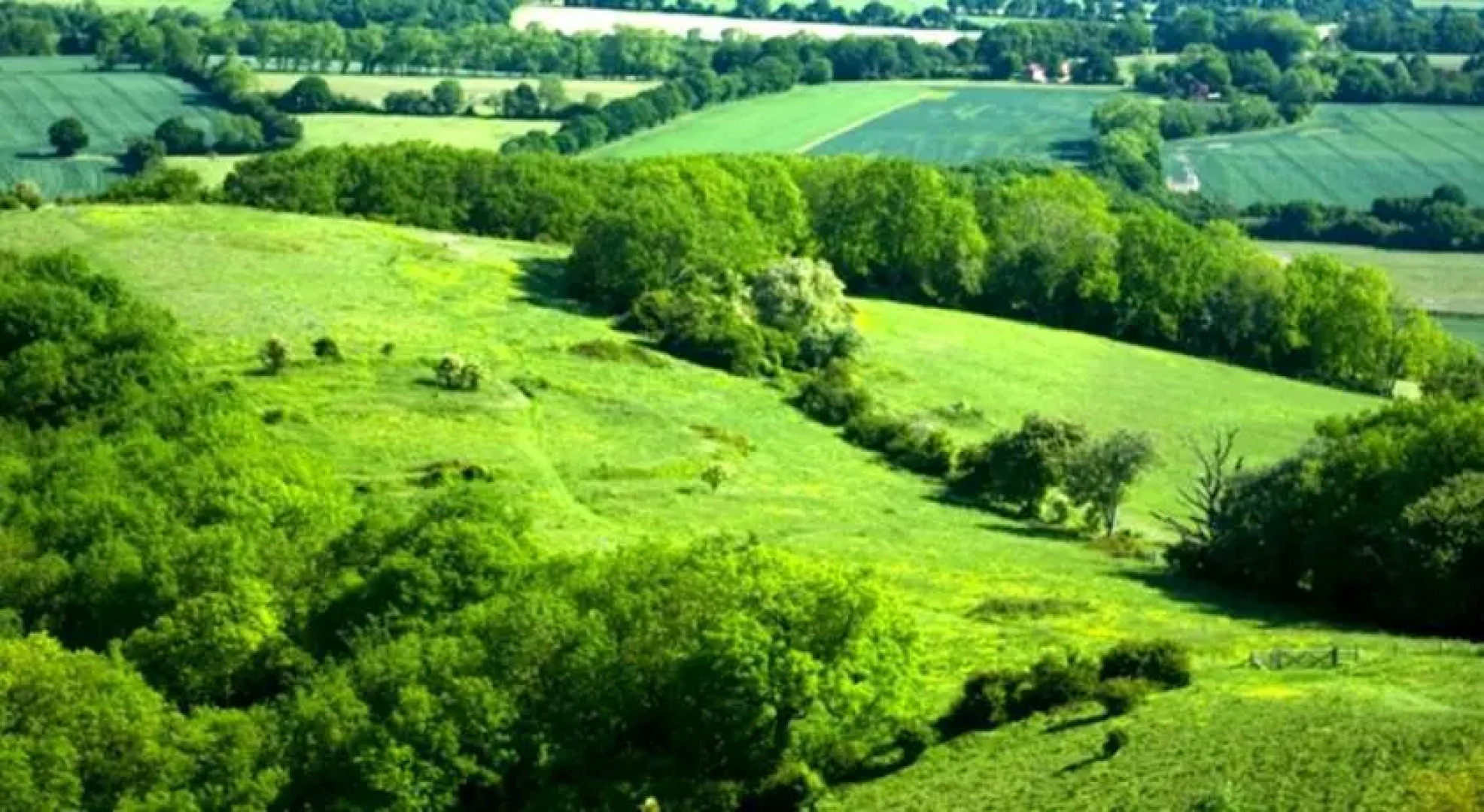 Riders Country House Hotel