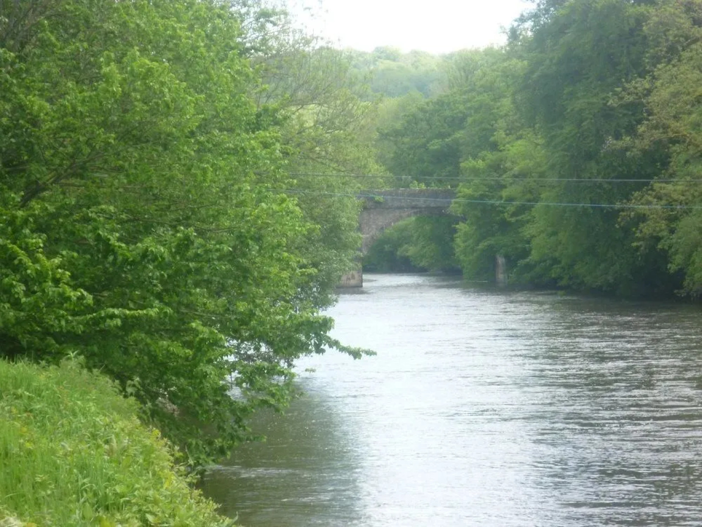 Ty Castell Bed  Breakfast - Home of the Kingfisher