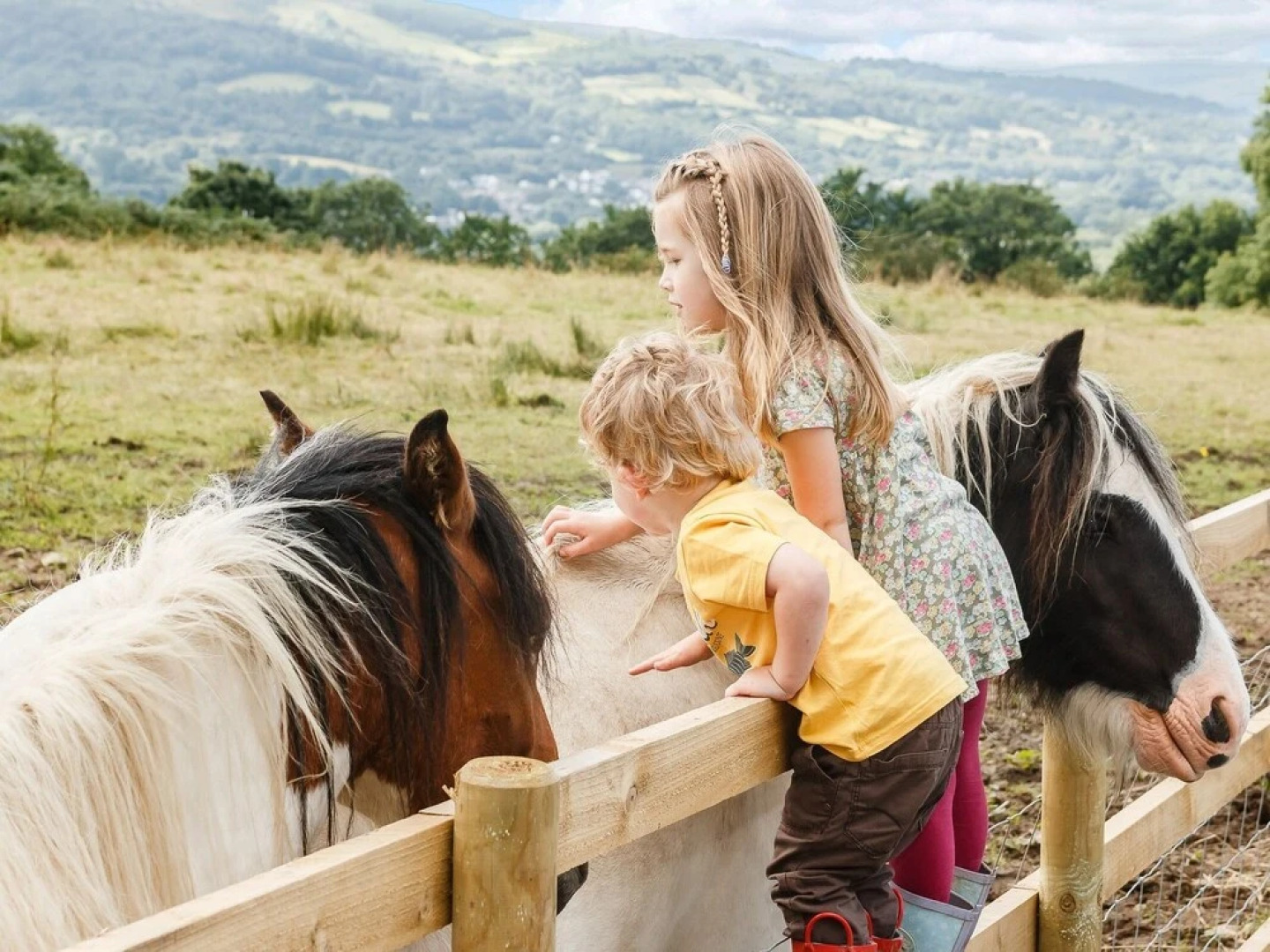 The Black Mountain Company