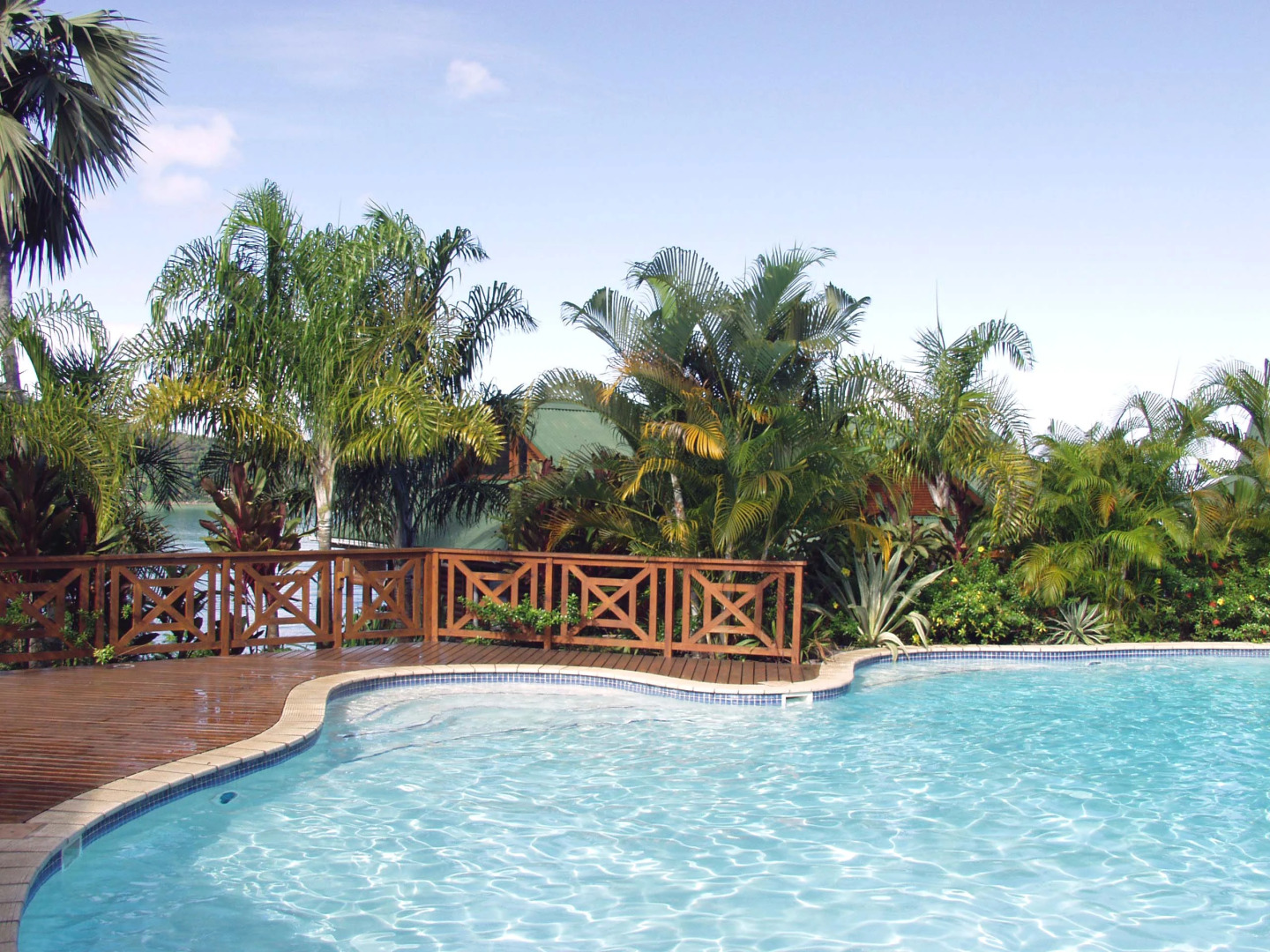 Le Jardin Des Palmes