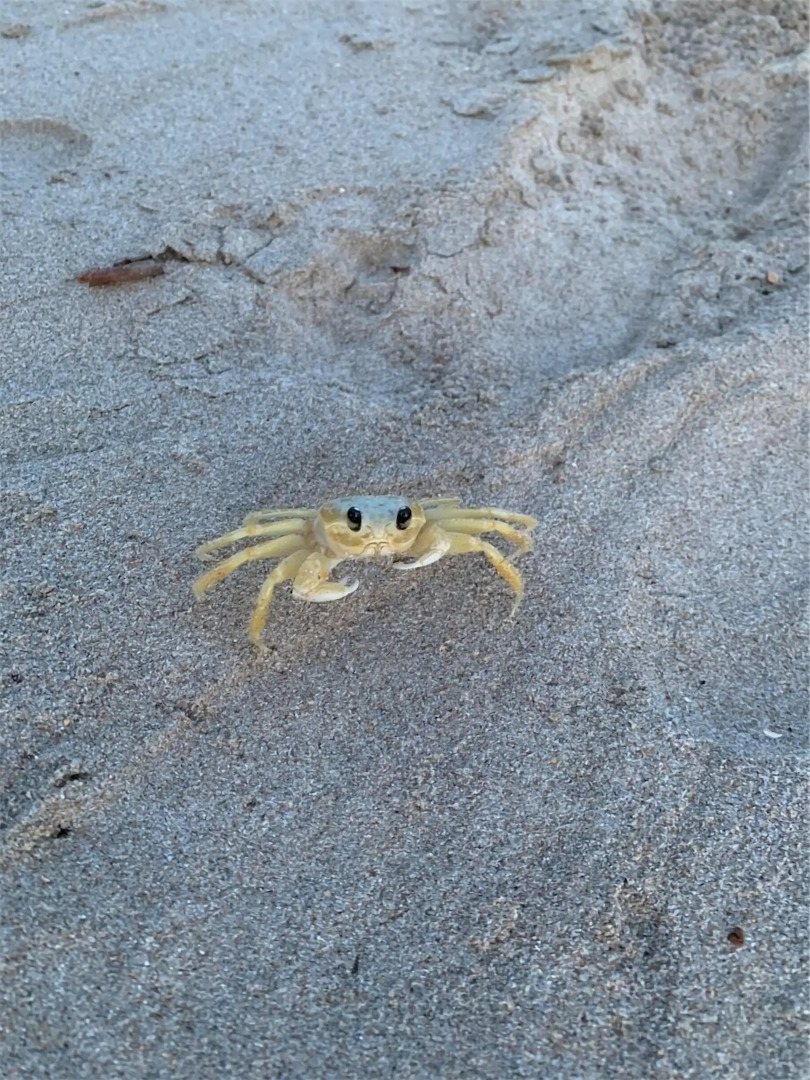 Pousada Paraíso Carneiros