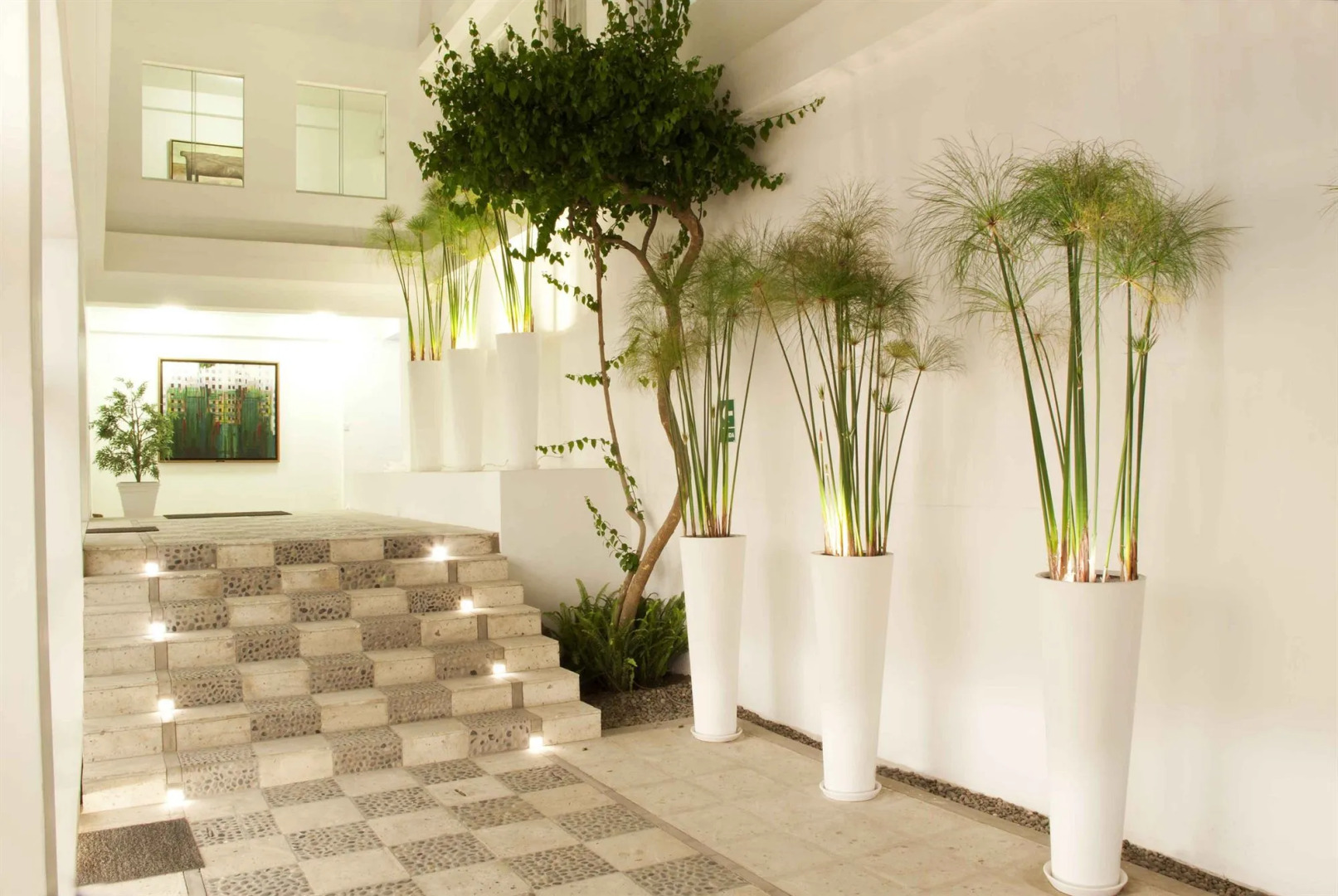 Tierra Viva Arequipa Plaza