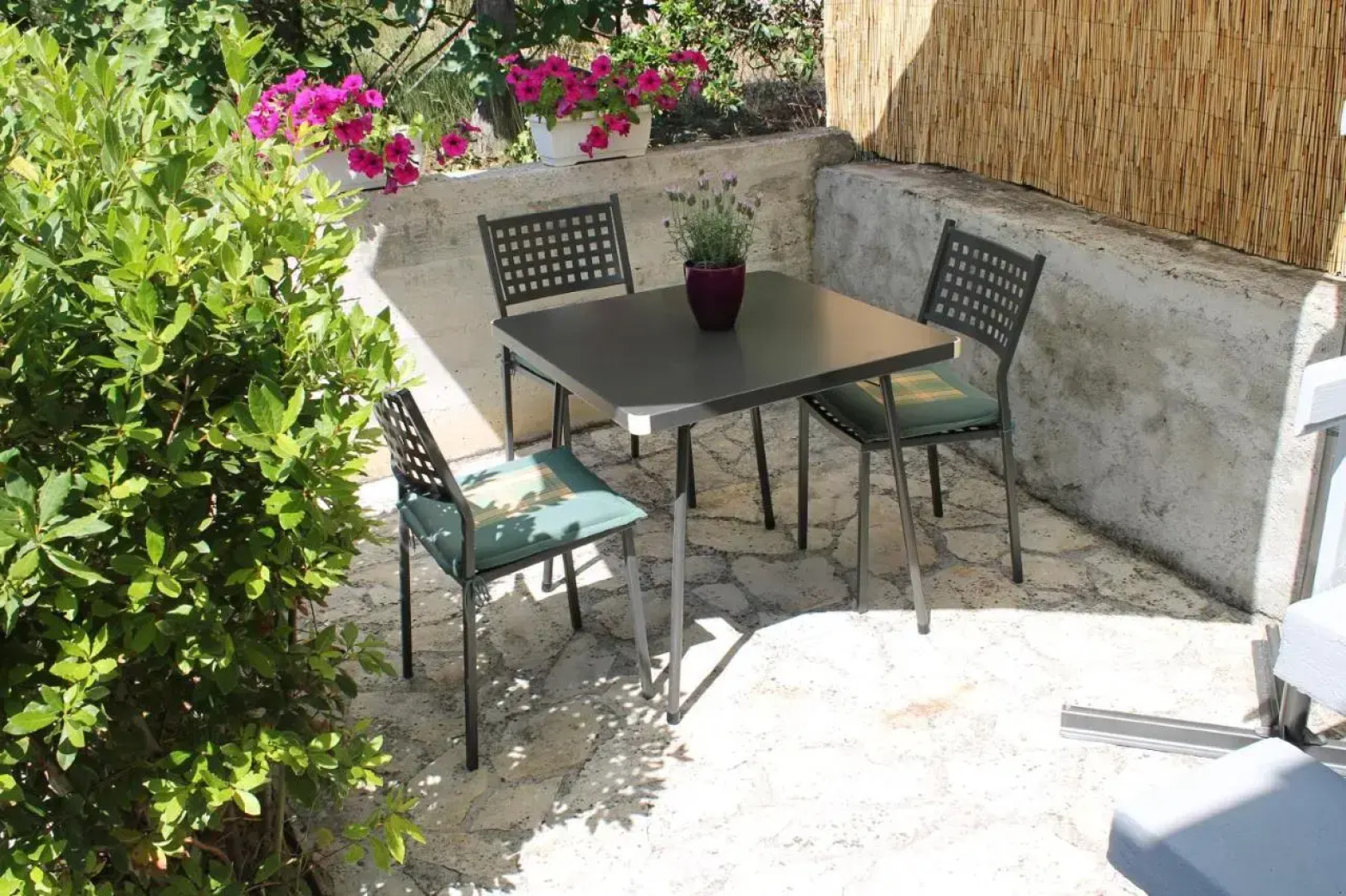 Apartments Diva Punta Skala