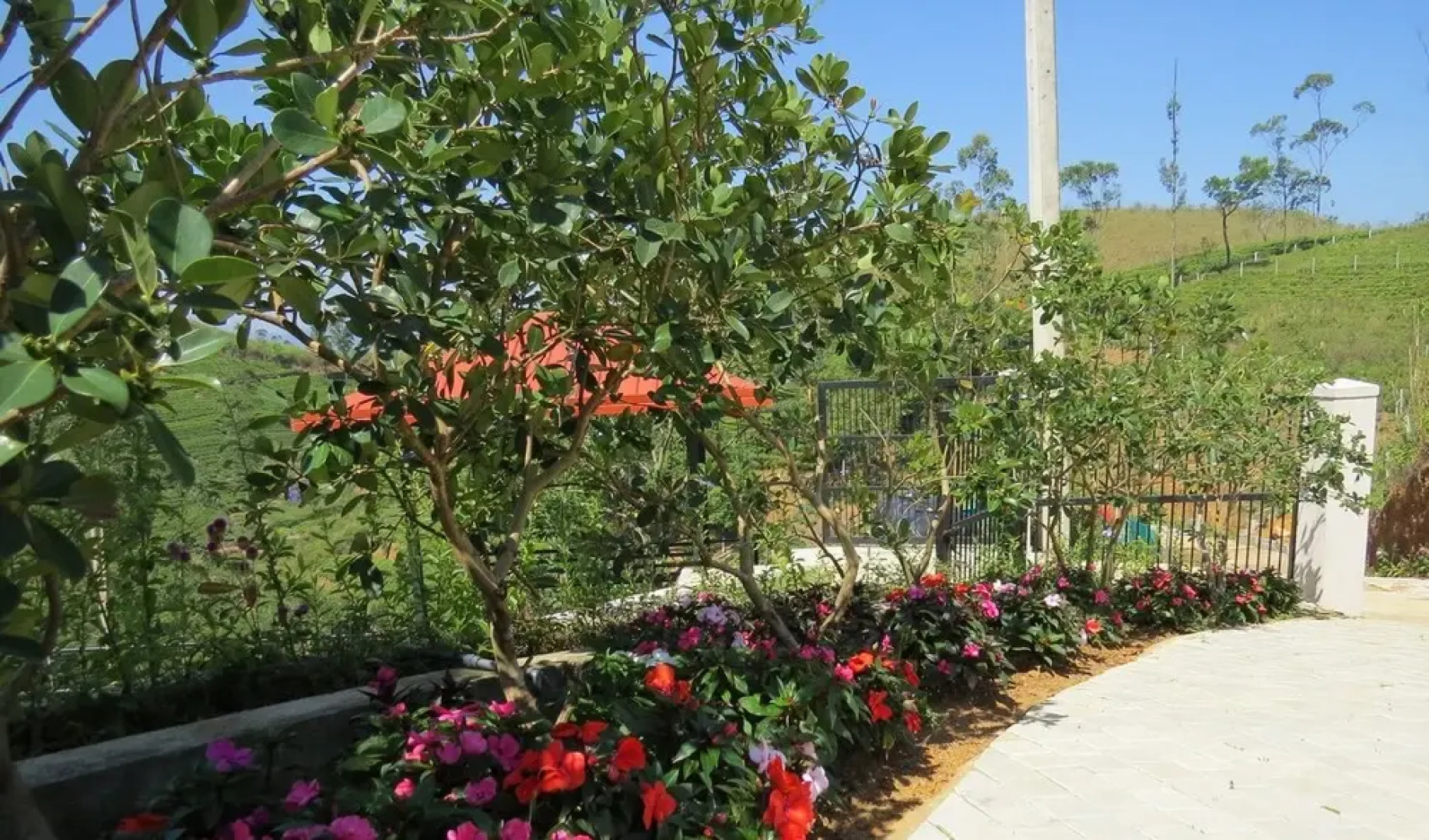 The Harrington Heritage Bungalow