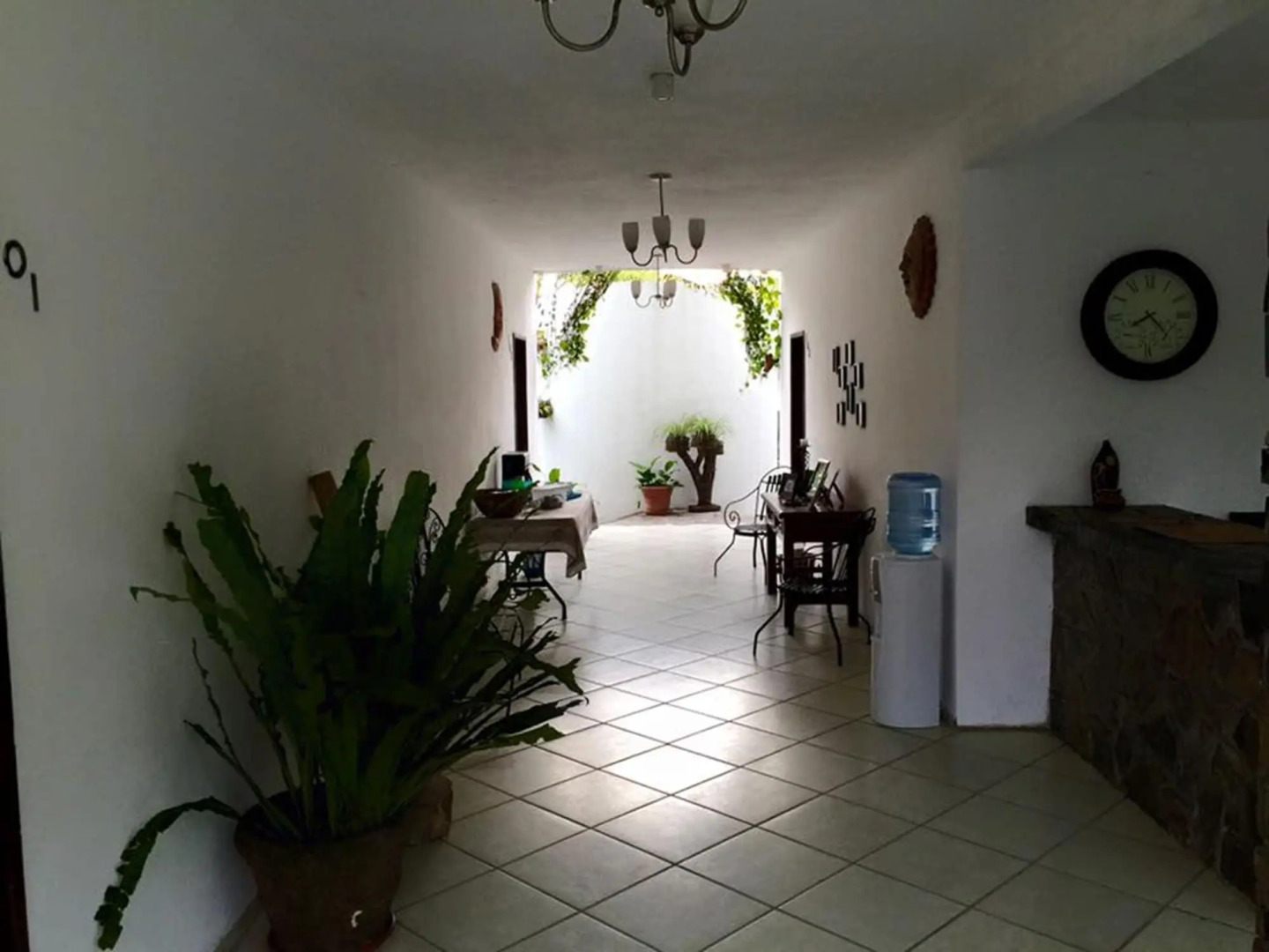 Camino Surreal Xilitla