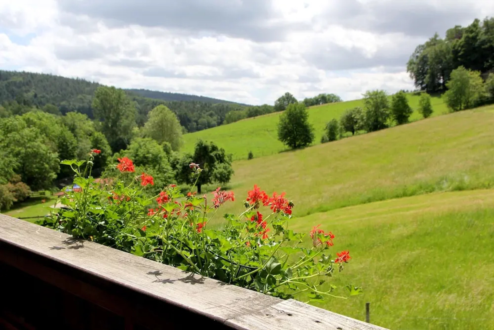 Natur & Wander Hotel Gassbachtal