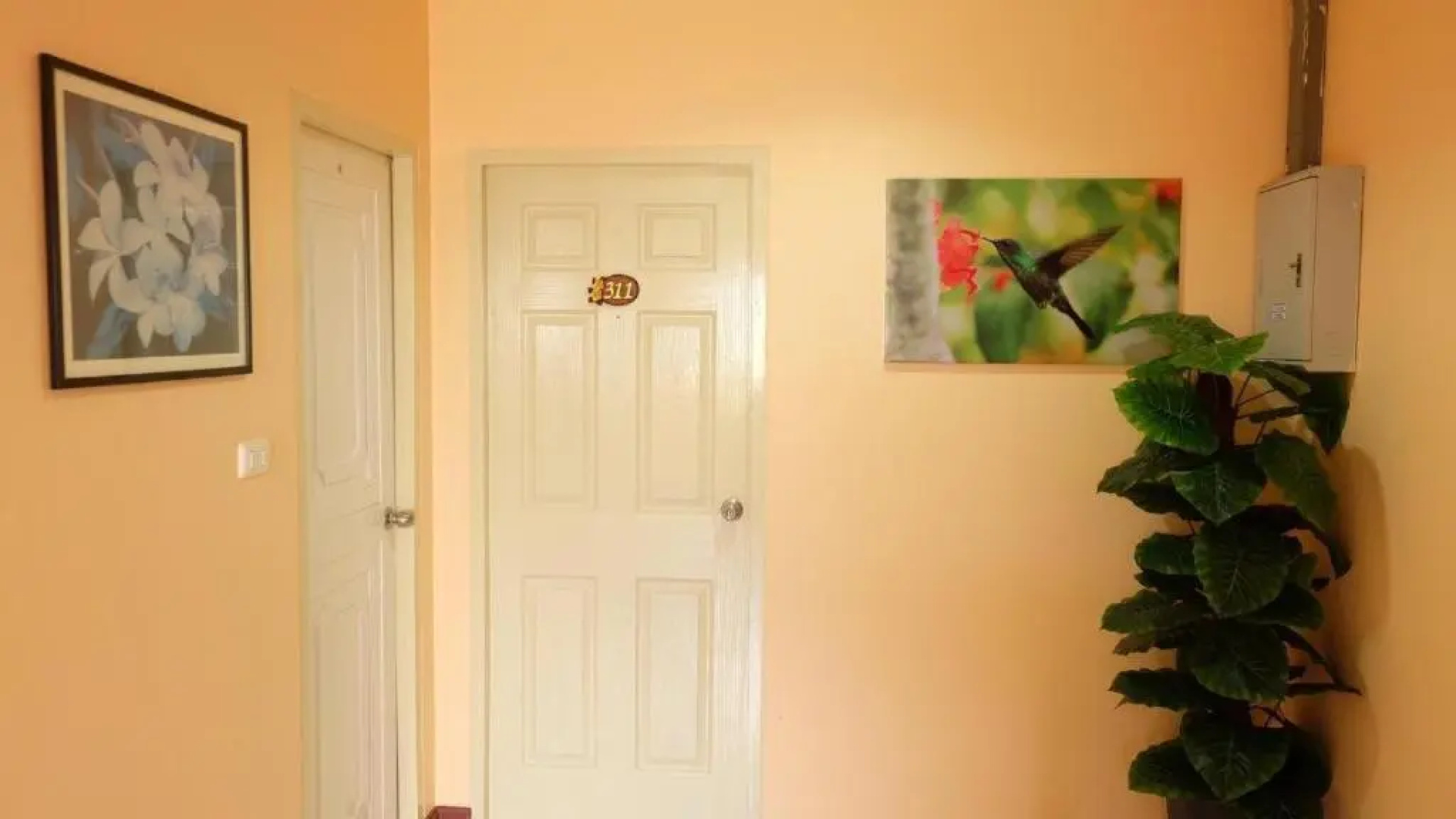 Sea Boss Homestay