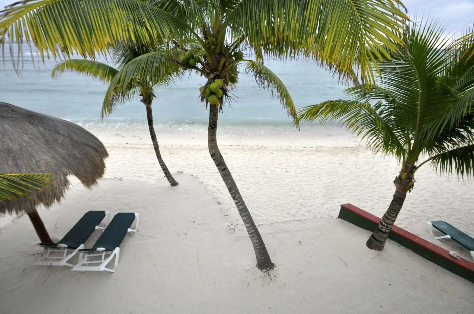 Del Sol Beachfront Hotel and Condos