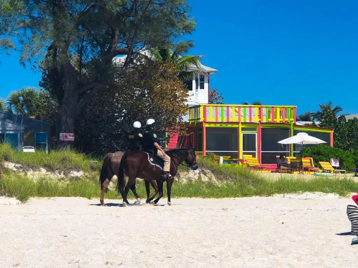 Anna Maria Island Beach Palms 8B