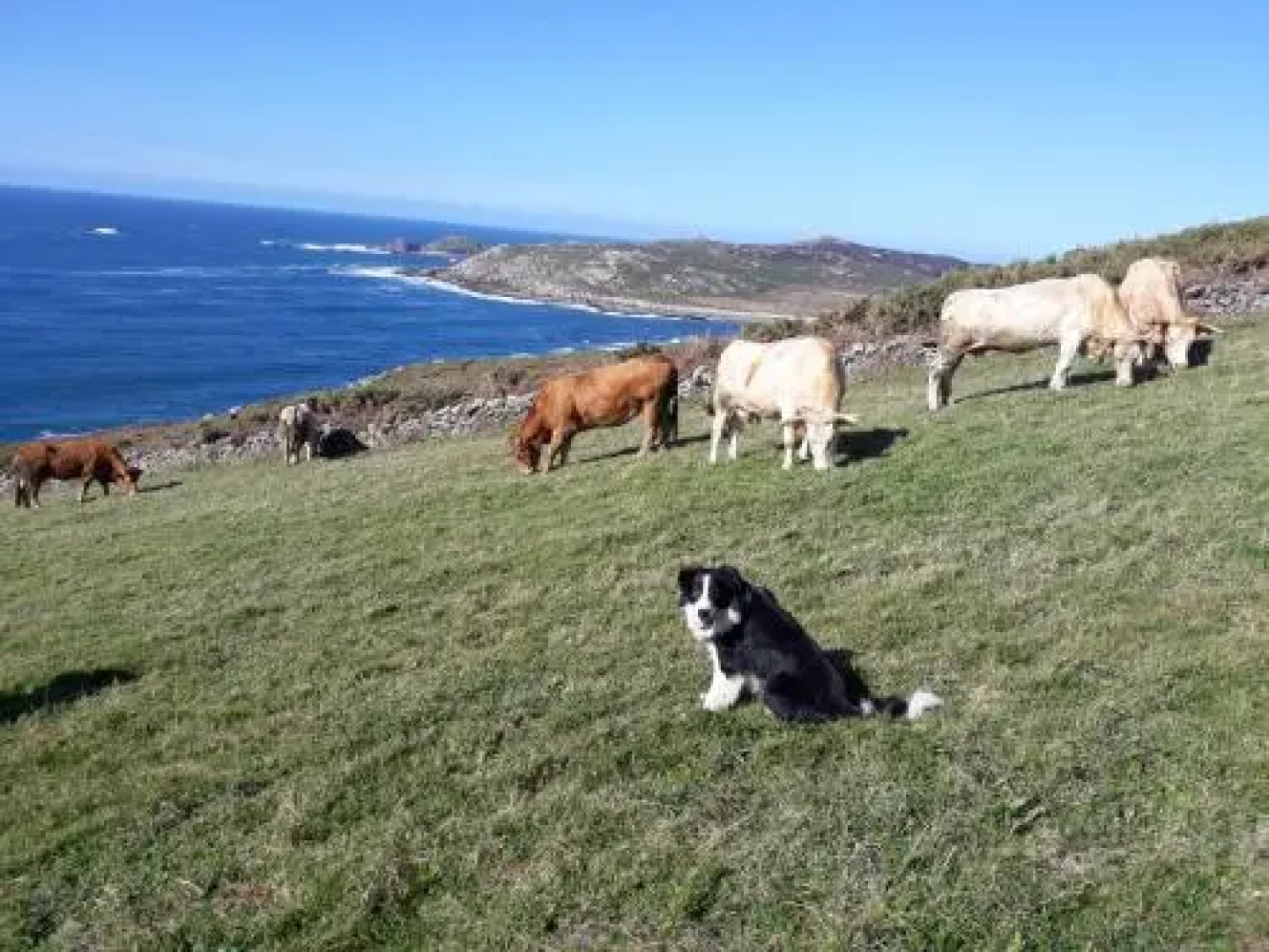 Apartamentos Currás en Touriñán
