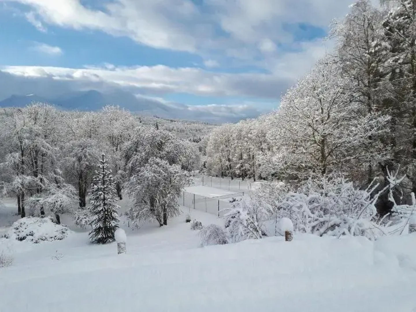 The Braes Guest House