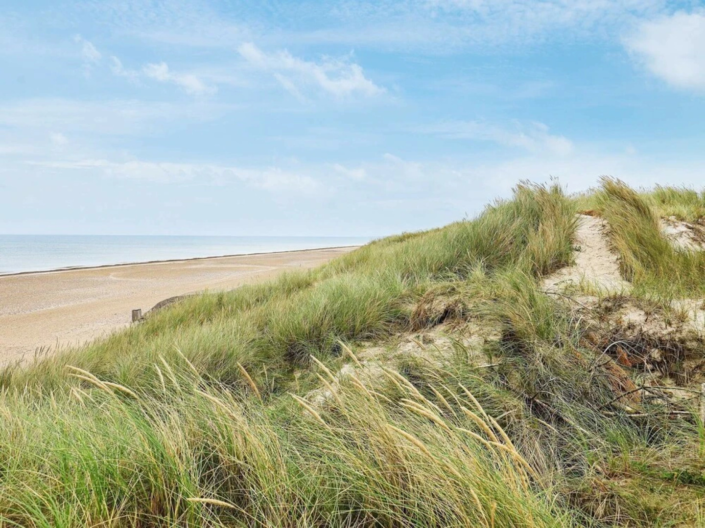 4 Person Holiday Home in Brovst