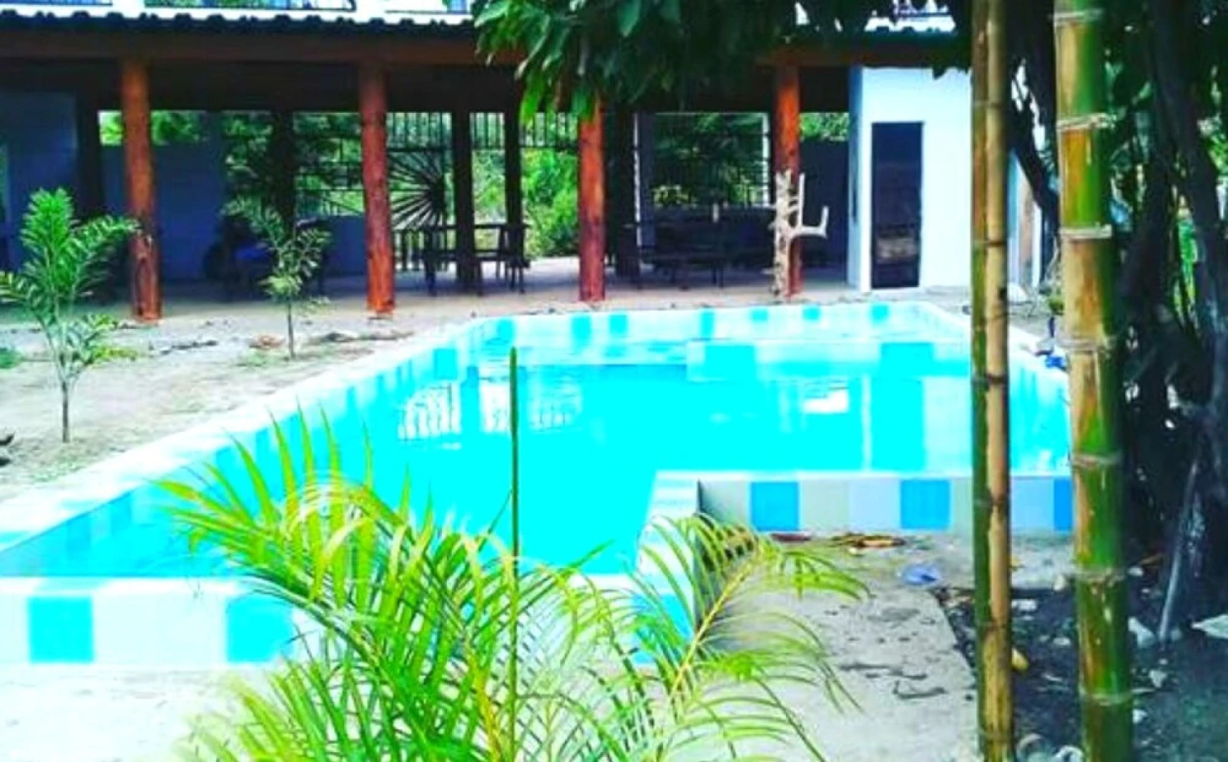 Palomino Hostel by T2L