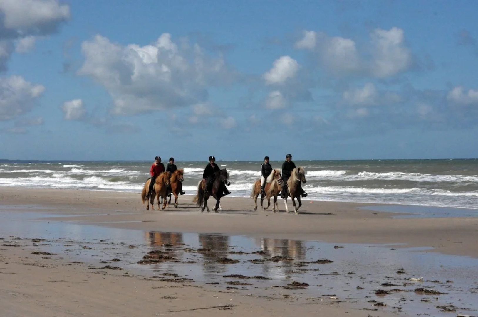 Stald Nordkap Farm Holiday