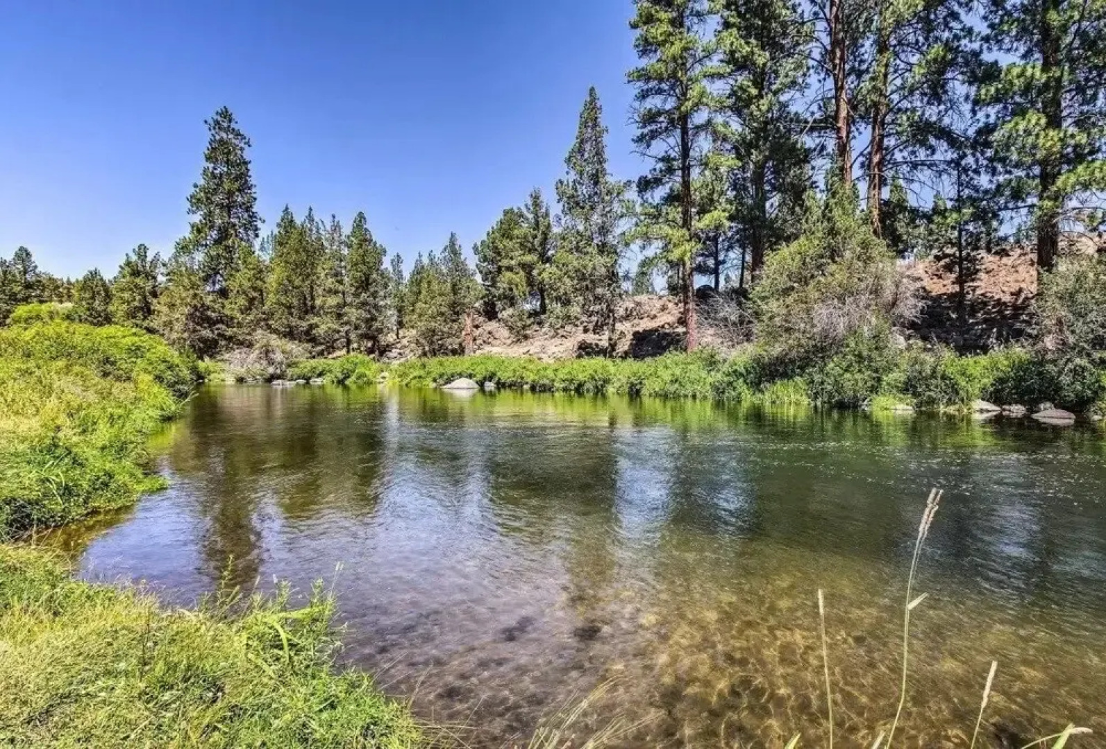 Tailwinds Farm, Secluded On The River, Amazing Views 4 Bedroom Home by Redawning