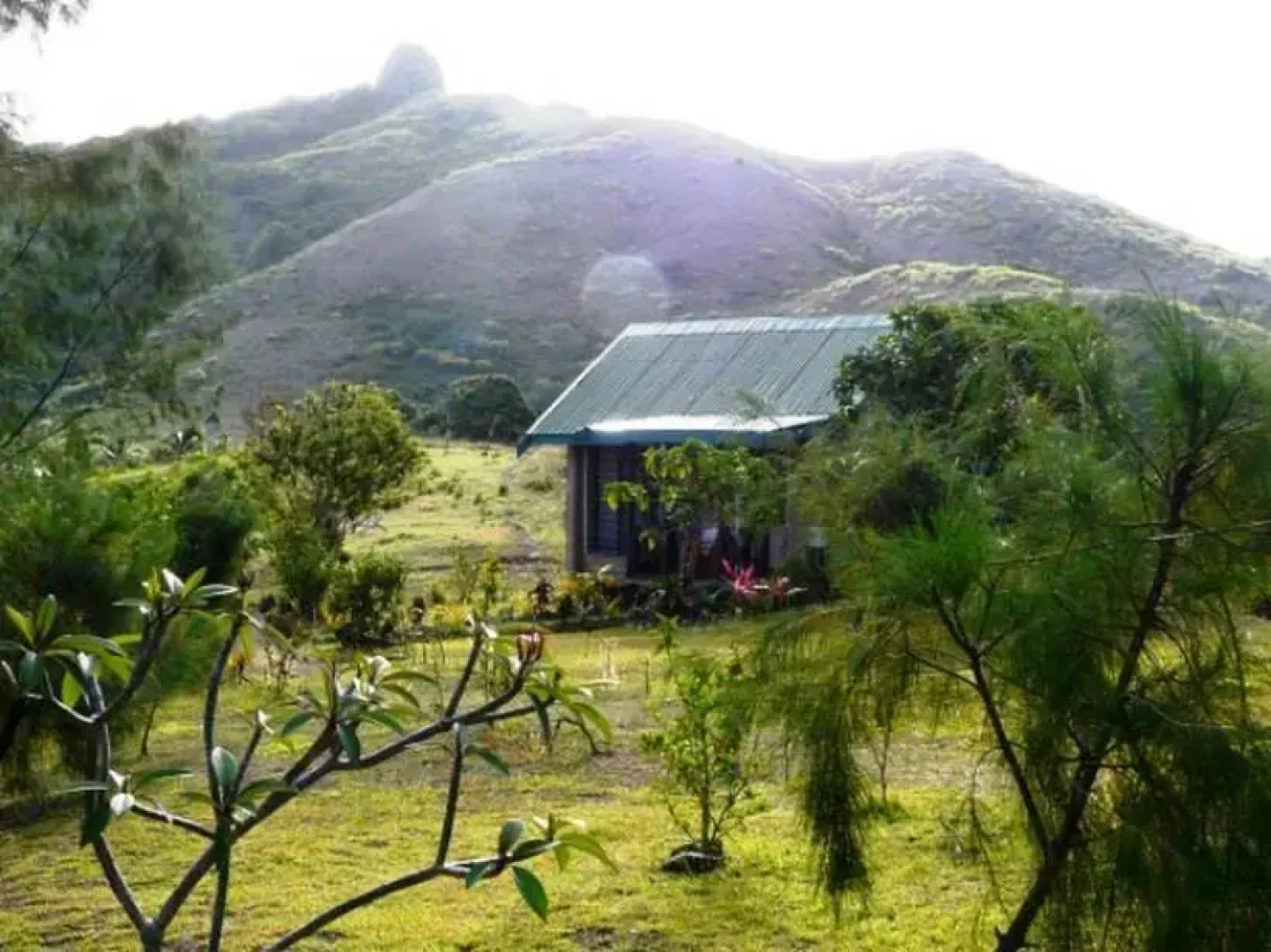 Bay of Plenty Nature Lodge