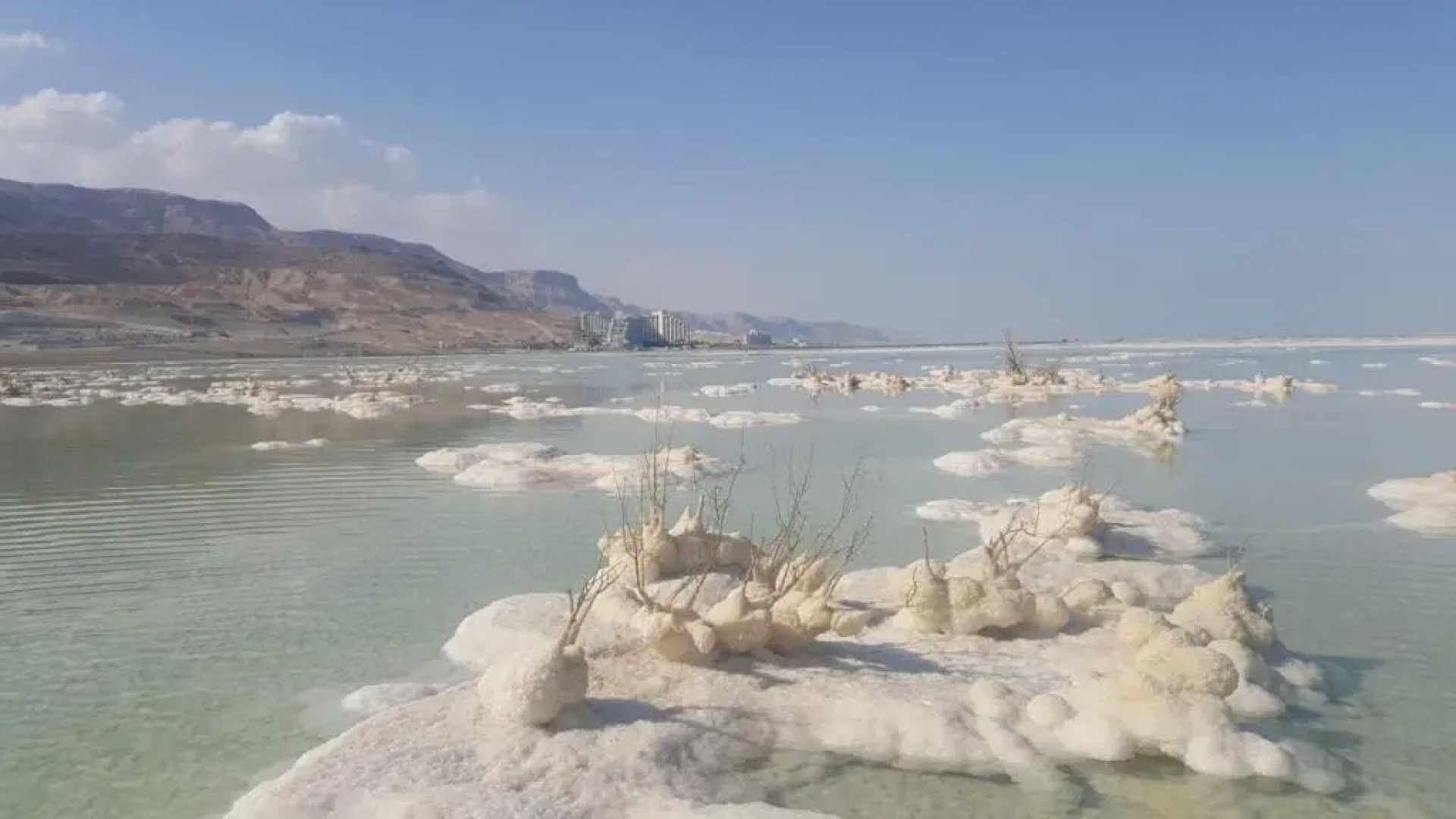 Nadia Hosting Dead Sea