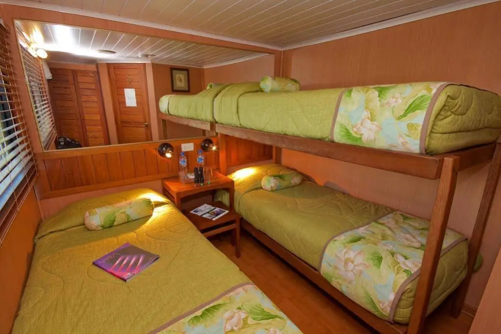 Manatee Amazon Explorer