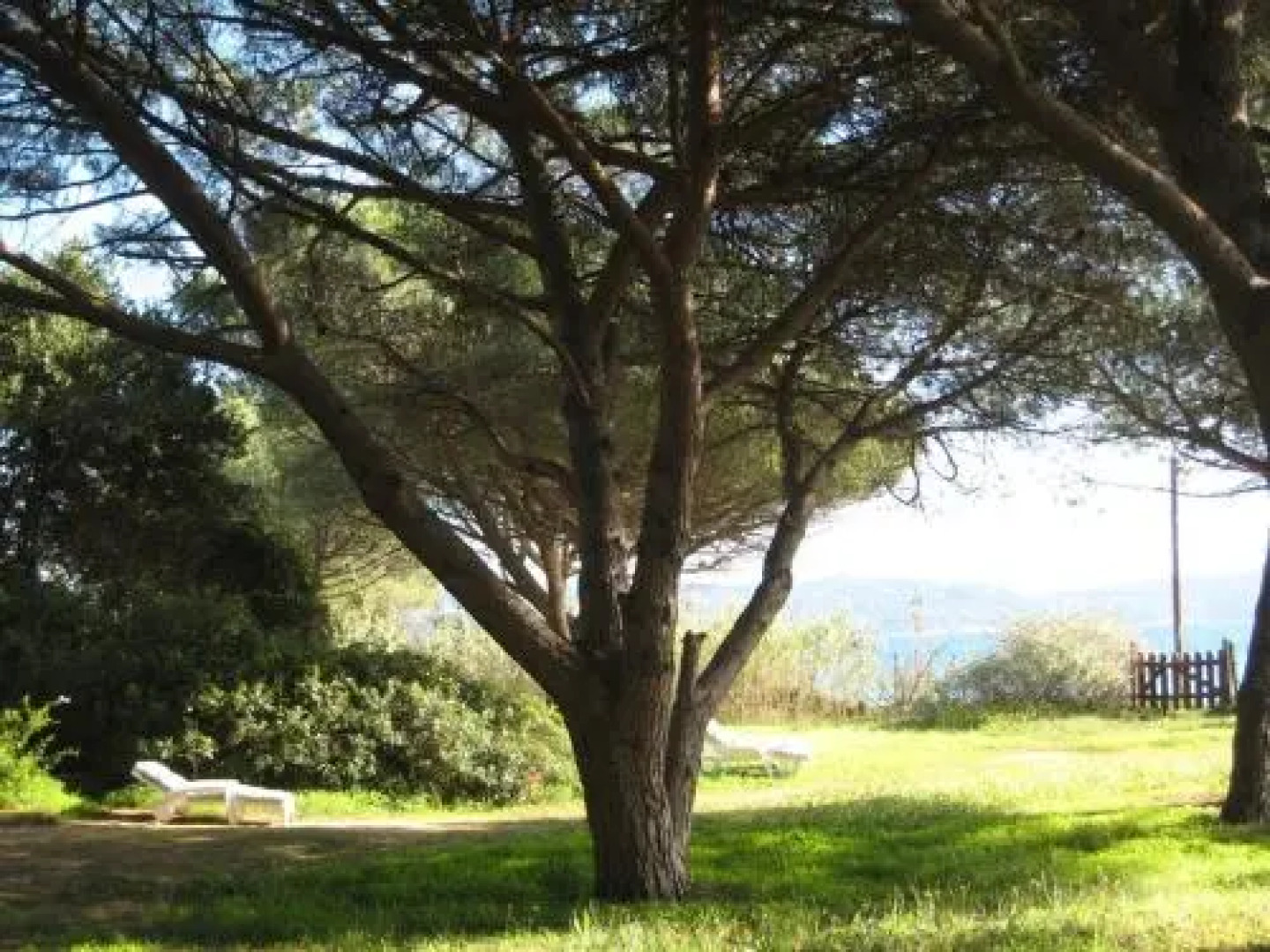 House Le Dépaysement Assuré !