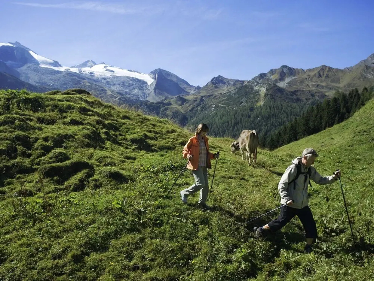 Alluring Apartment in Kolsassberg With Private Garden