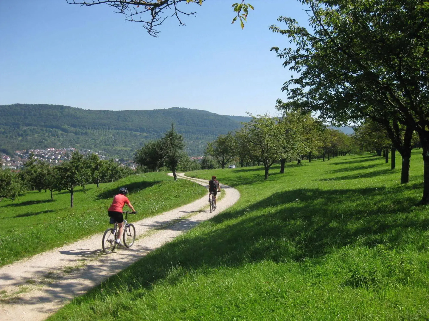 Biosphärenhotel Graf Eberhard