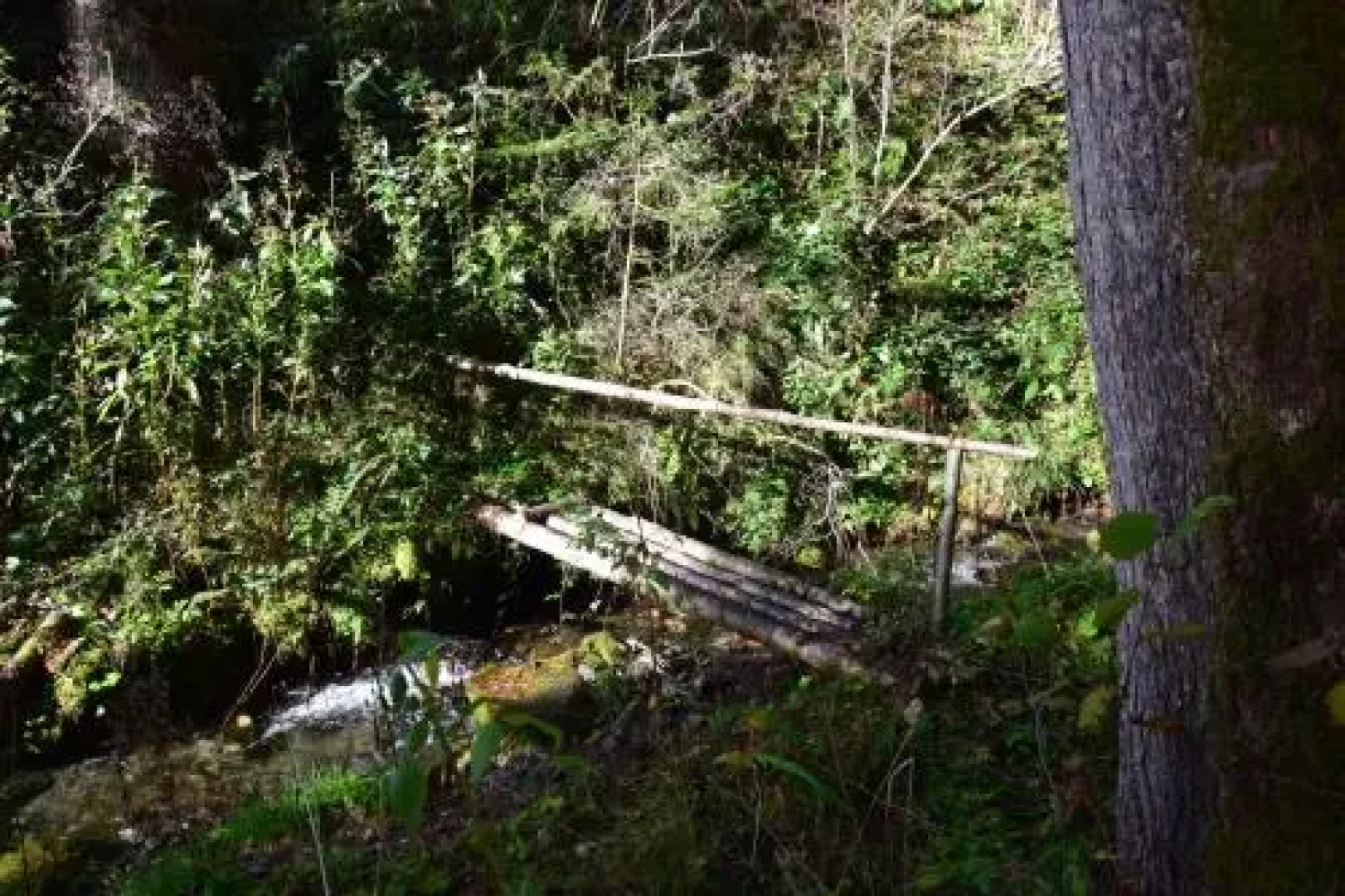 Apartment gmiatlich Wohnen