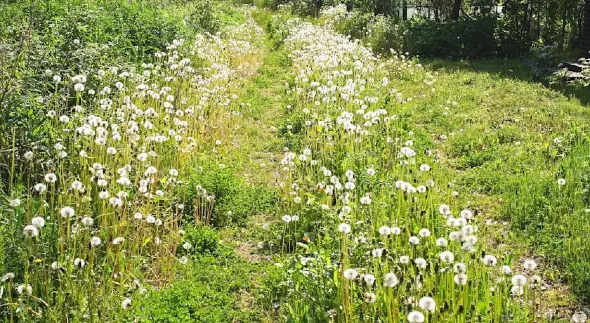 Kaberneeme Vacation House