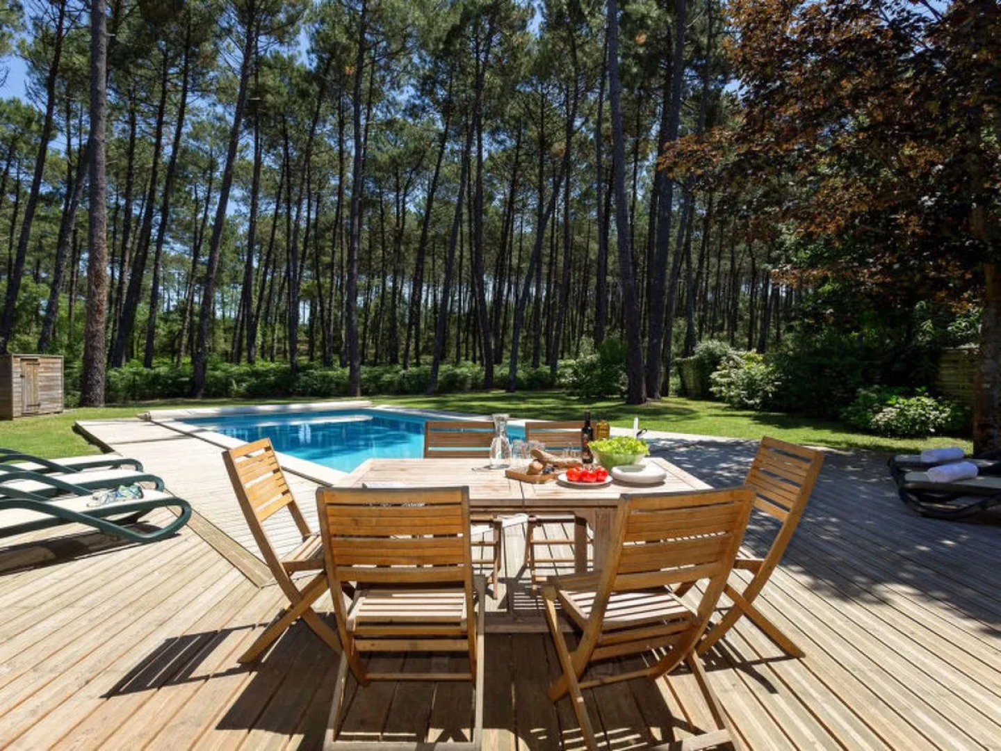 Clairière aux Chevreuils (MLP533)