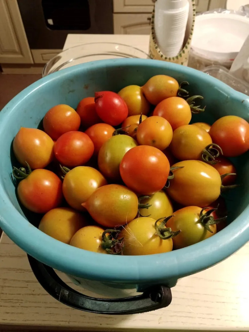 Casa Vacanze Mareggiata