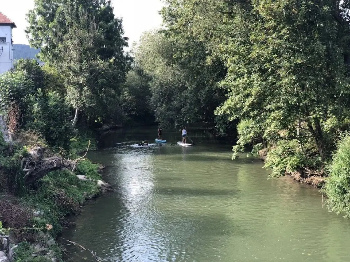Apartment in Tauberbischofsheim