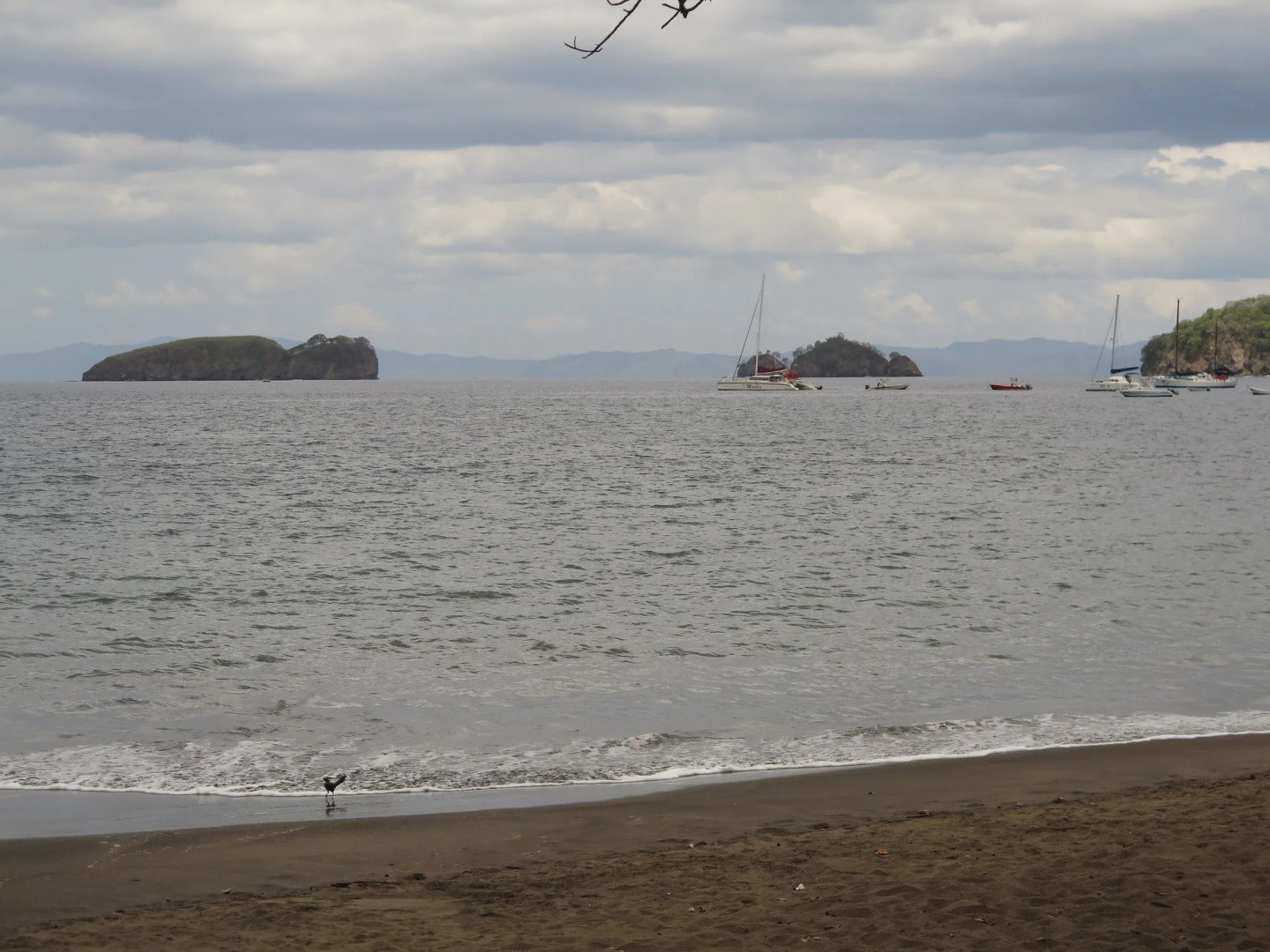 The Palms At Coco Beach