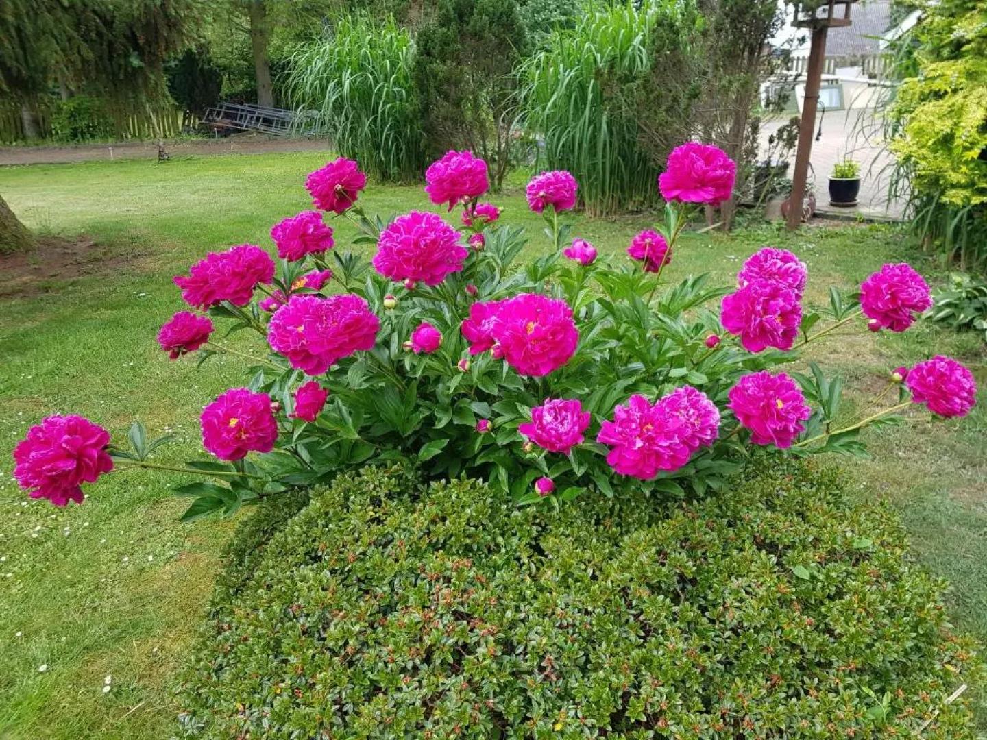 Duangs Bed & Breakfast