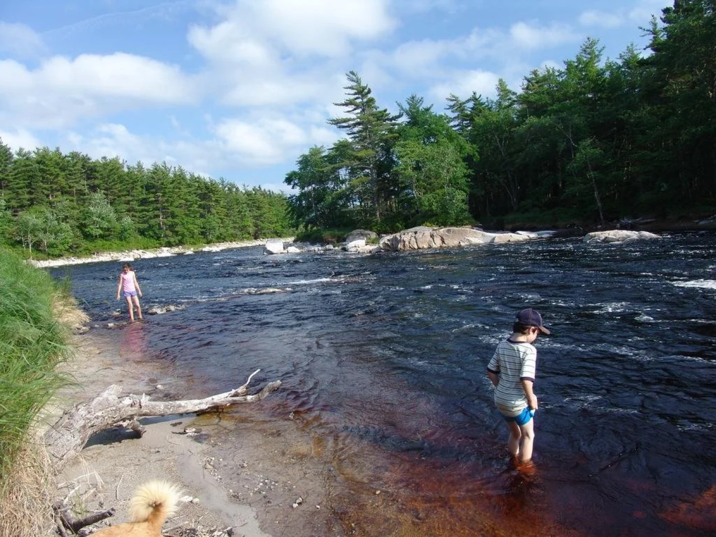 Roseway River Cottages