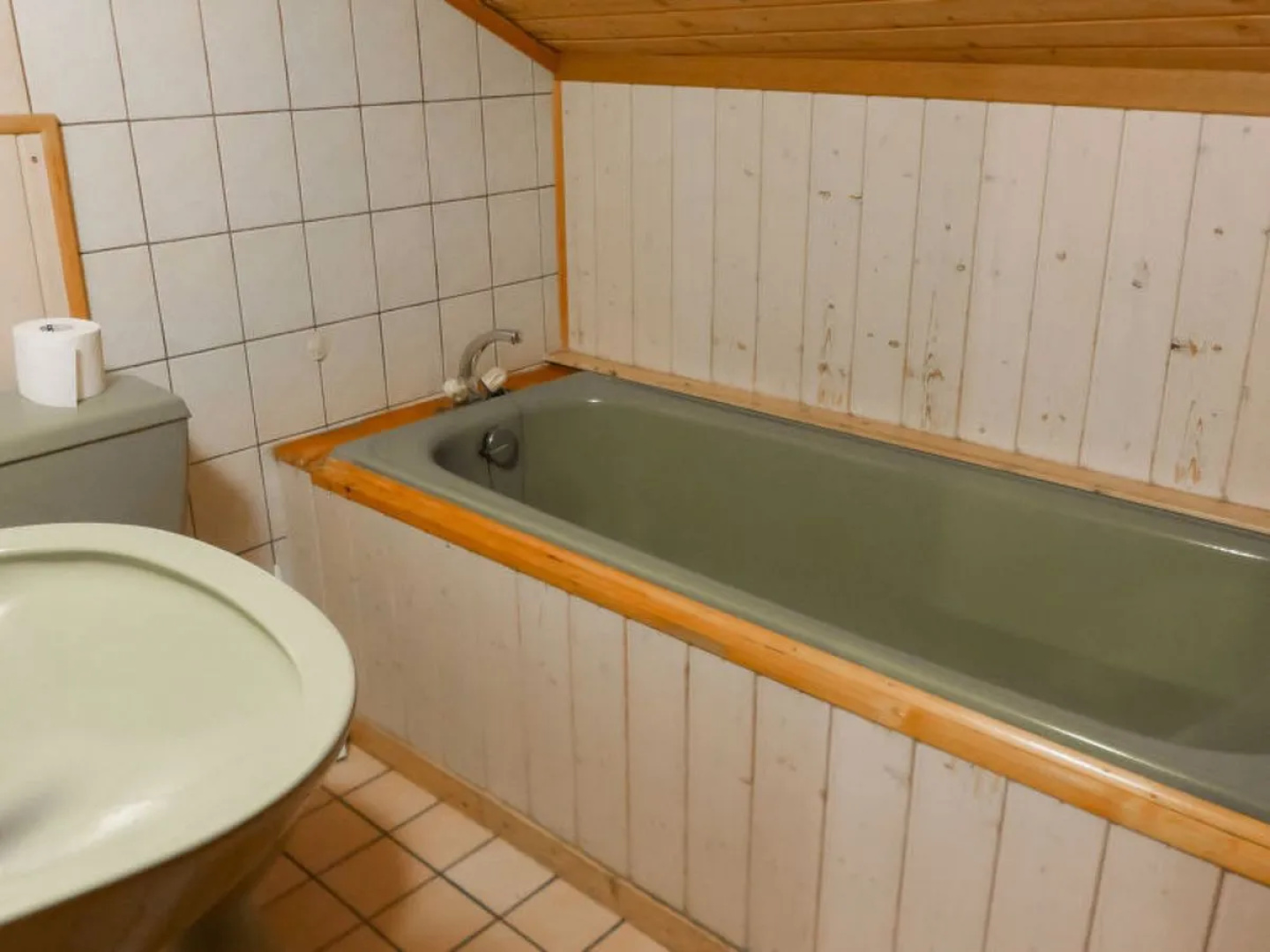 Chalet Anthamatten 18330