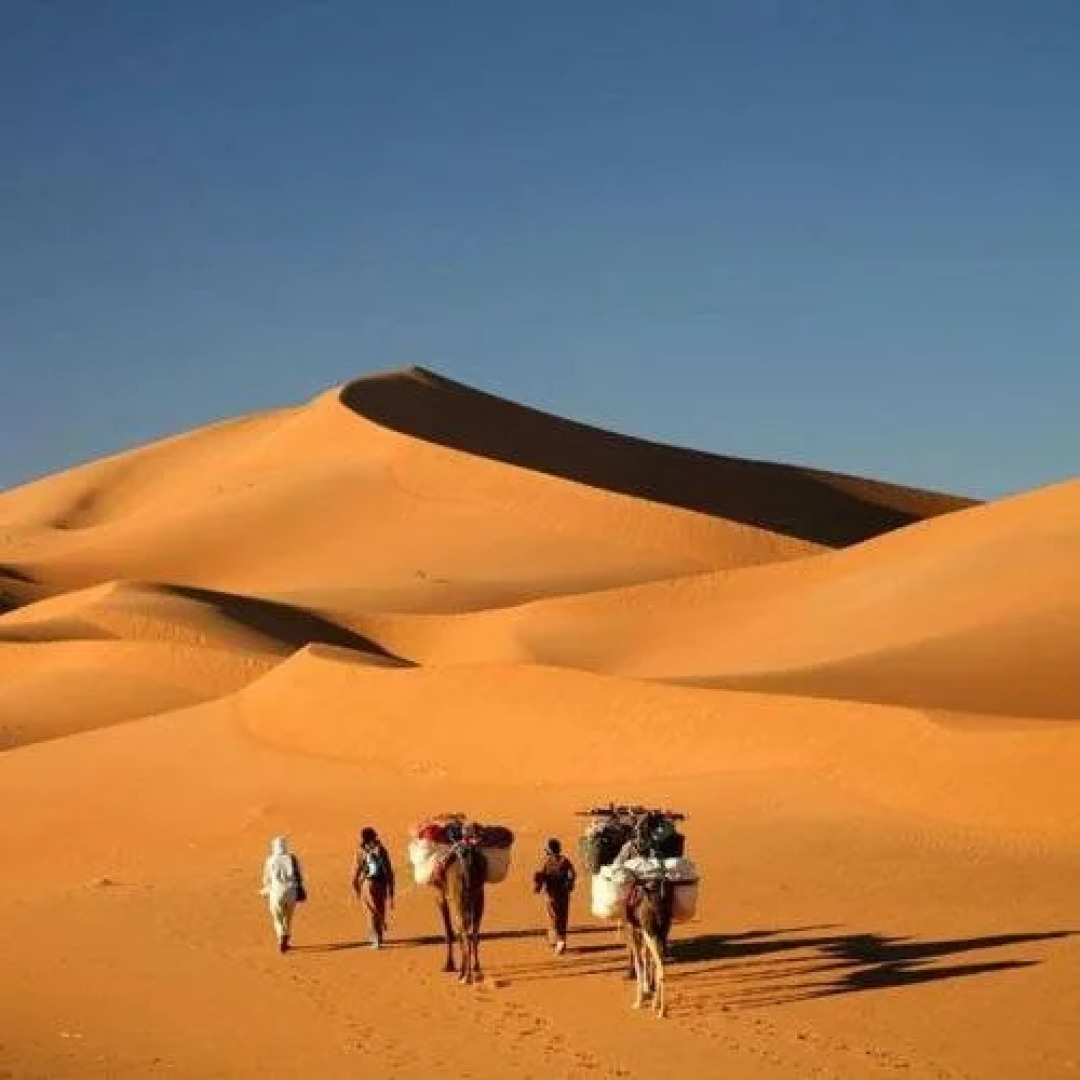 Auberge Kasbah Dar Sahara Tours - Hostel