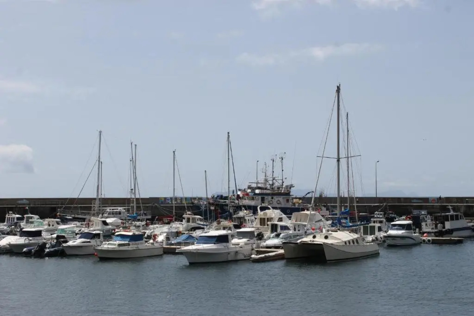 Cozy and Bright Apartment