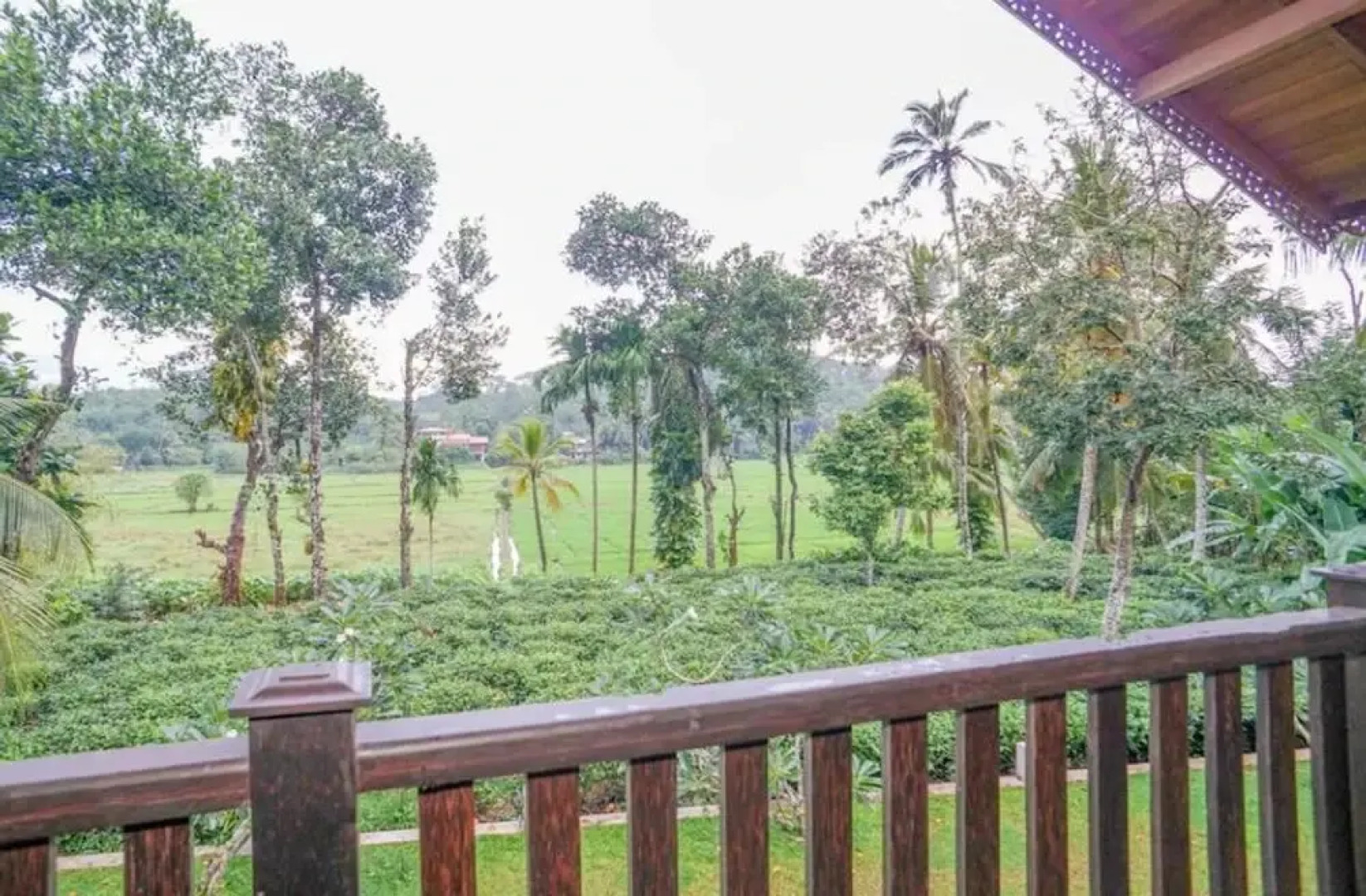 OYO 524 Peacock Villa