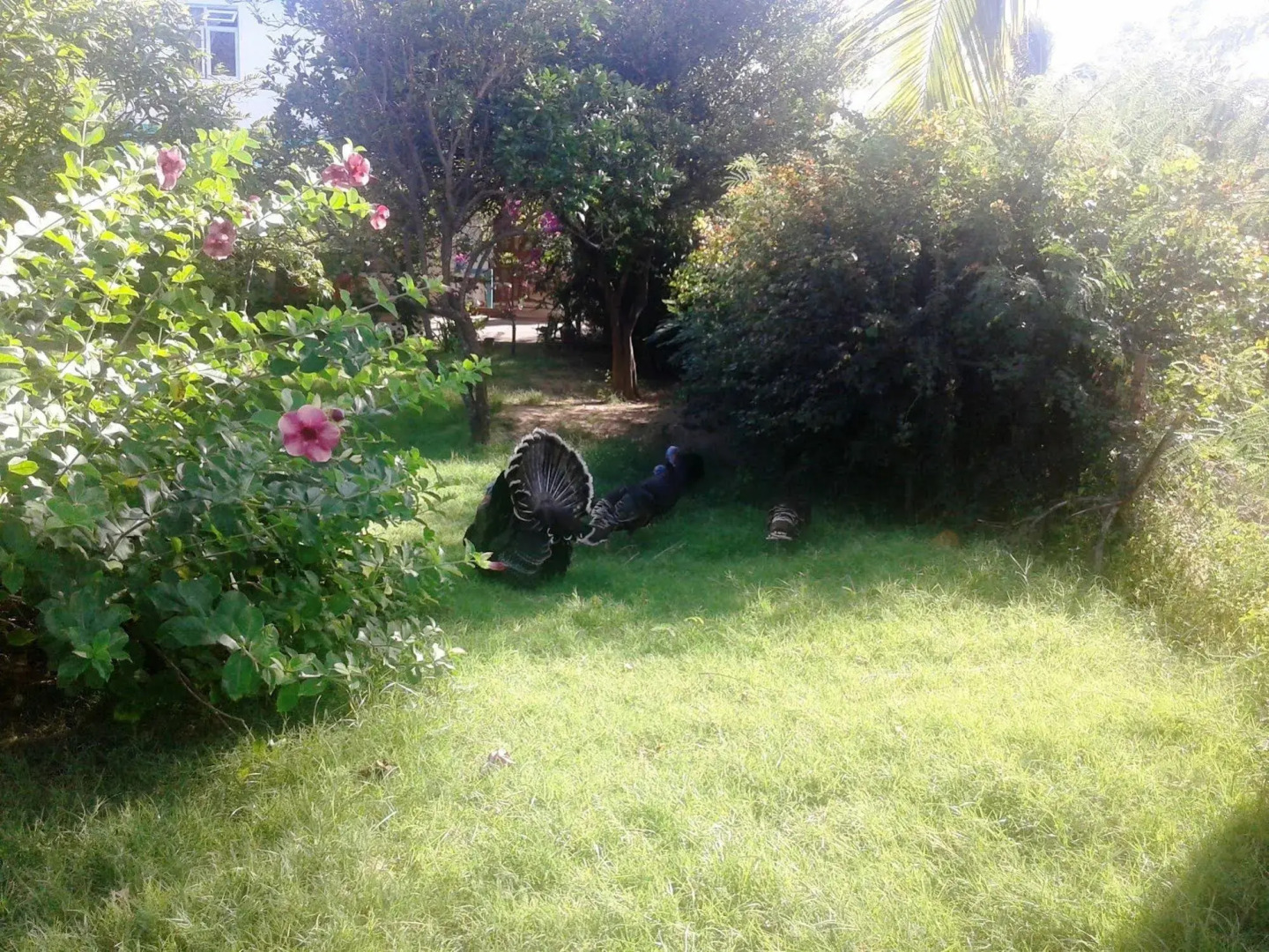 Chez Ronald Guest House