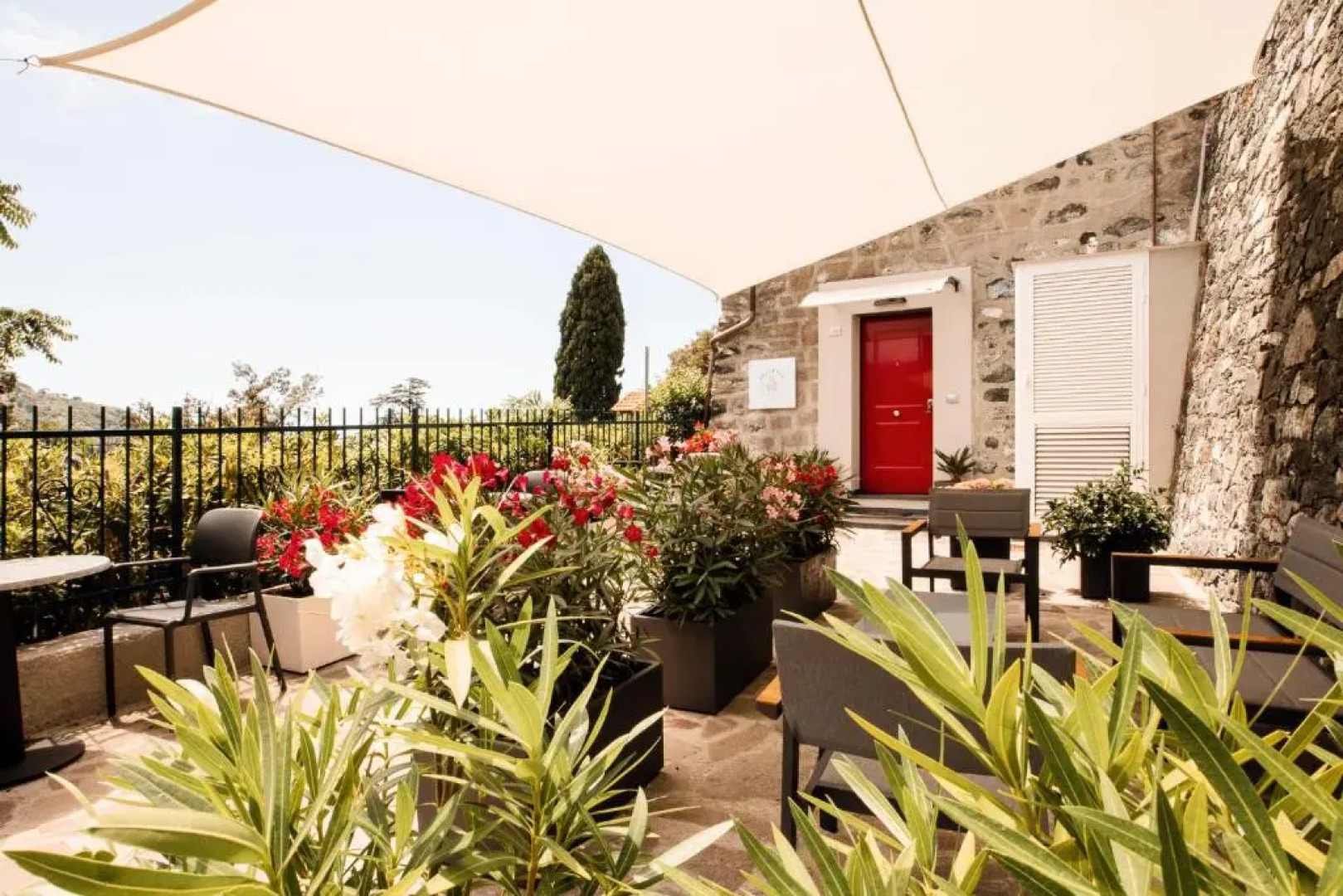 Bellevue - Rooms & Suites