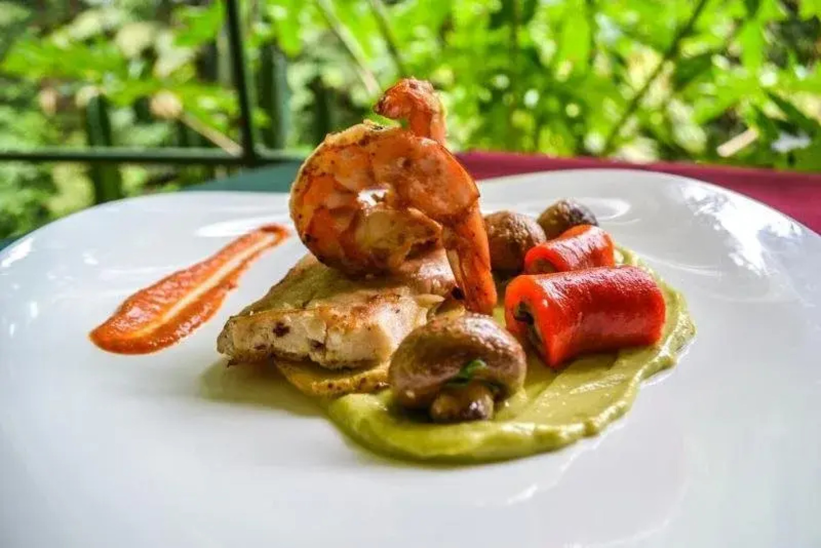 Occidental El Tucano