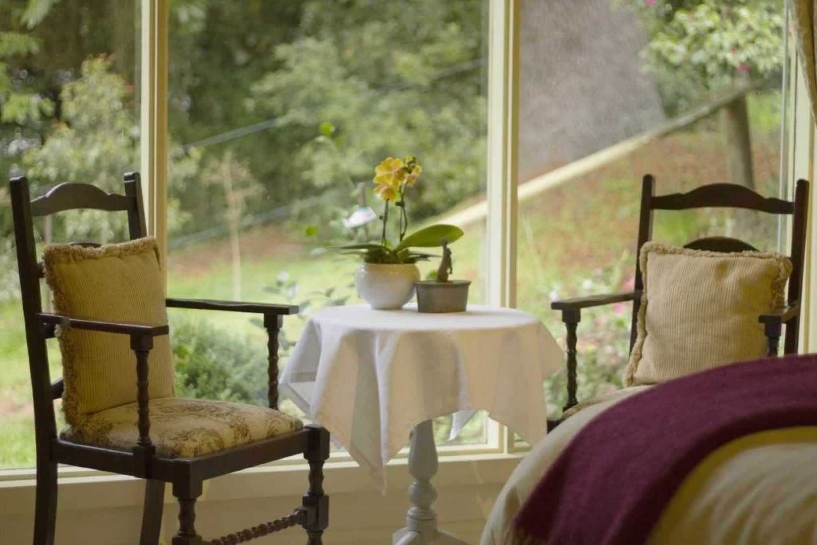 Billy Buttons Bed and Breakfast