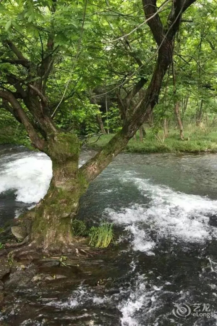 Wuyuan Huayuan Mountain Villa