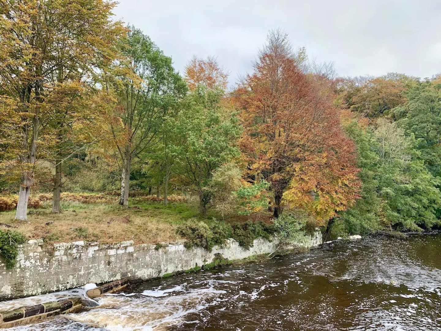 Castle View Guest House