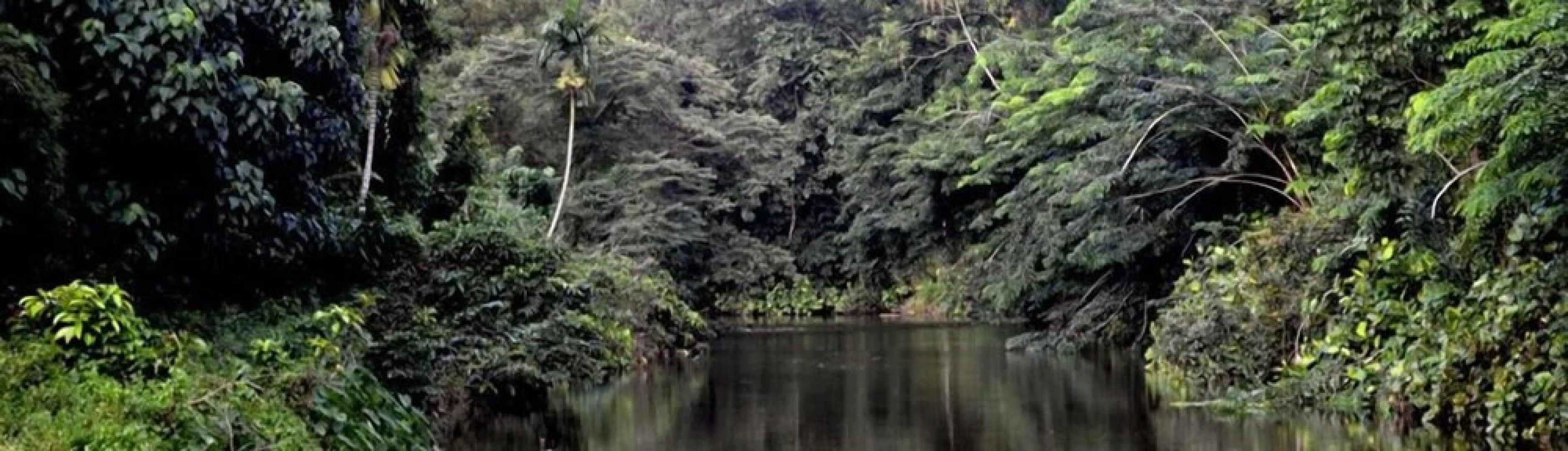 The Villa Tranquilla