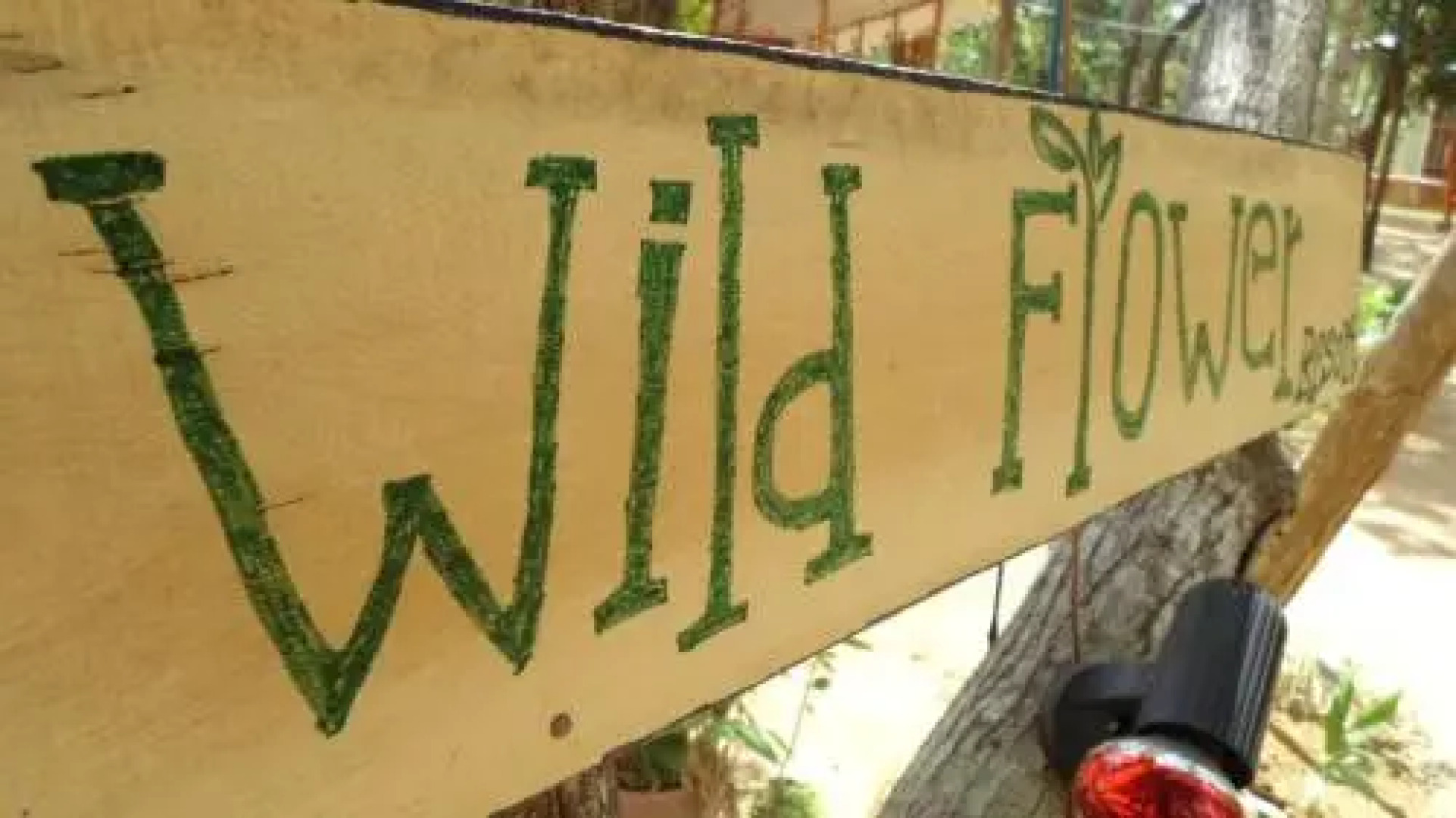 Wild Flower Resort